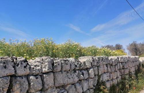 A casa di Marisa - Foto 53