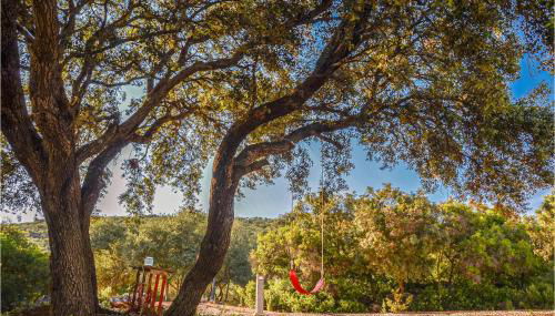 1 Bedroom Amazing Home In Estepa - Photo 2, Garden