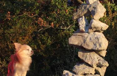 Domaine en Terre Happy - Foto 103