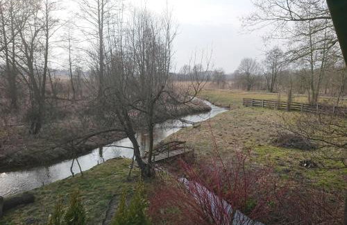 Małe Mazury- domek z łowiskiem - Photo 11