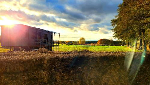 NEU Luxuriöses Tinyhaus Ferienhaus FREYR einmalig in Lübbenau - Foto 4