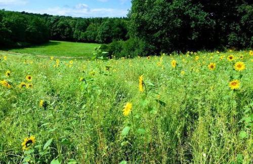 Neue moderne Wohnung in der Natur - Peter's View - Foto 17