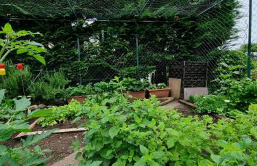 Urlaub auf dem Bauernhof Schmidhof - große Terrasse, Pool und beste Lage - Foto 35