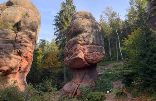 Wellness & Wirlpool-Oase am Wald - Waldferienhaus Dunja in Oybin - Photo 43