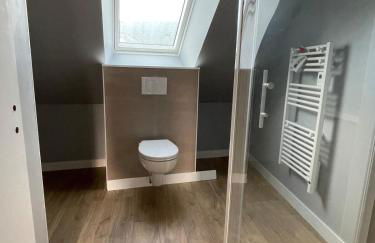 Plein centre Auray - Grand duplex 2 suites avec terrasse ensoleillée - Foto 8