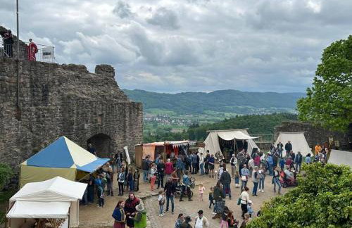 Nibelungen 4 Zimmer Apartment - Foto 61