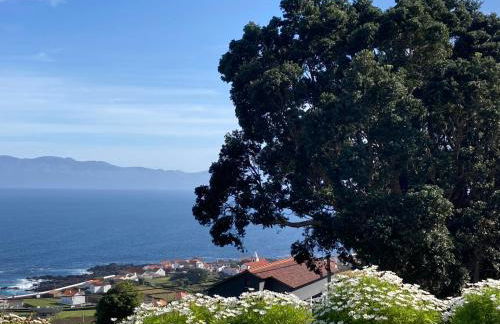 Casa de Santo Amaro - Photo 23