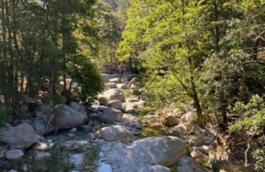 Casa linsia - Foto 22