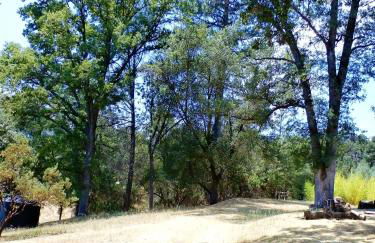 NEW CHARMING 2 BEDROOMS UNIT CLOSE TO EVERYTHING - Foto 18