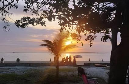 Chalé frente mar na Ilha do Mel - Encantadas. - Foto 42