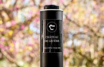 Château de Livière - Foto 17