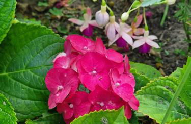 CASA DA ANONEIRA by Stay in Alentejo - Foto 19