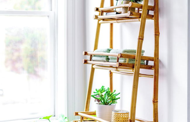 The Urbn Jungle - Photo 52