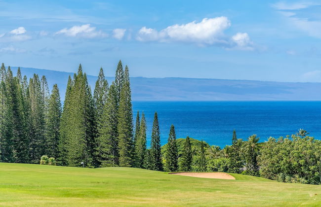 Kapalua Ridge Villas 1423 - Foto 43