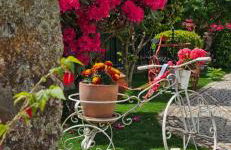 Quinta do Ribeiro - Covilhã - Serra da Estrela - Foto 24