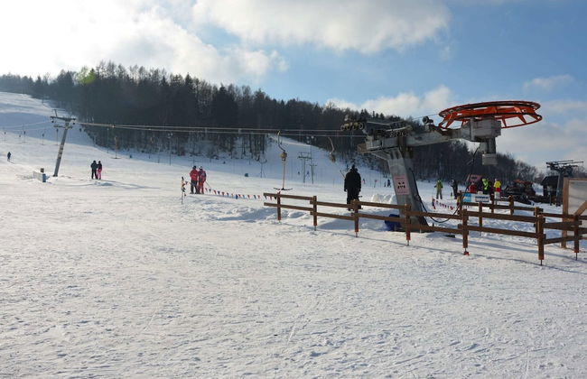 Forest Escape With Garden - Foto 27