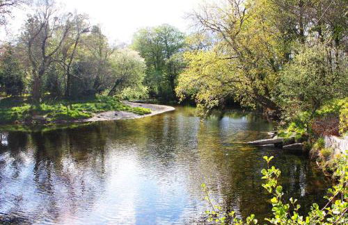 Te Cuento 3 Xesteira - Foto 26