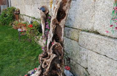 A Feitiña de Rubiacós - Foto 27