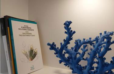 Estúdio Lagoa Azul - Foto 15