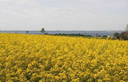 Beach Lounge II - Foto 20