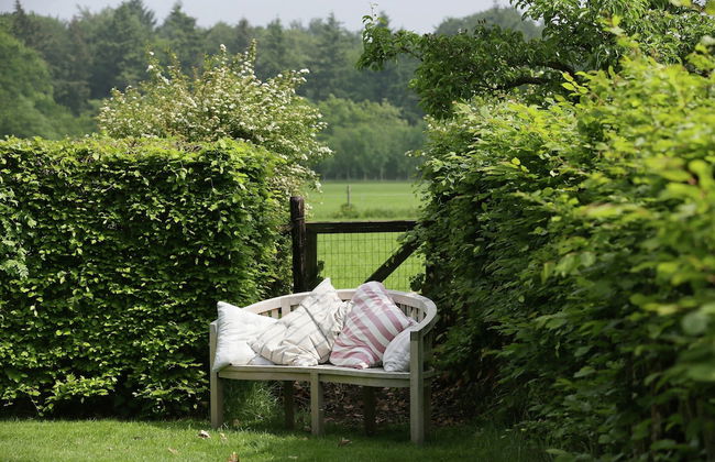 Peaceful Farmhouse in Doorn near Forest - Photo 27