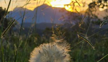 Casa das Hortênsias - Foto 5