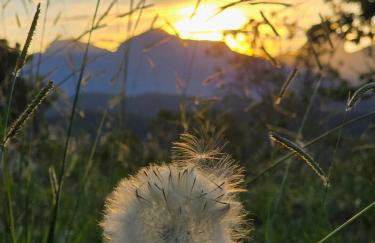 Casa das Hortênsias - Foto 5