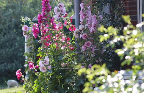 Friesenhof - Foto 18