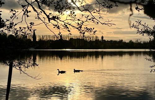 Kleine Landhaus-Perle am Schlosspark - Foto 37