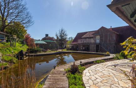 Hafen Seedorf Haus 1 - Foto 13