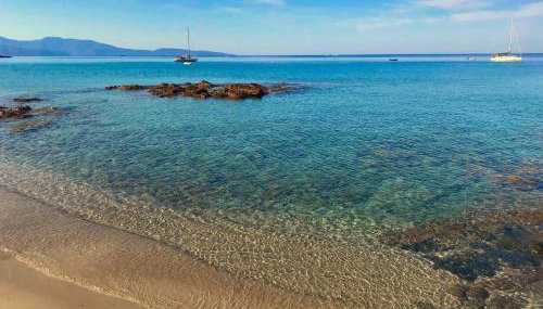 Solacargese-Les Chemins de Sonia-Terrasse face à la mer-Cargèse la Grecque - Foto 3