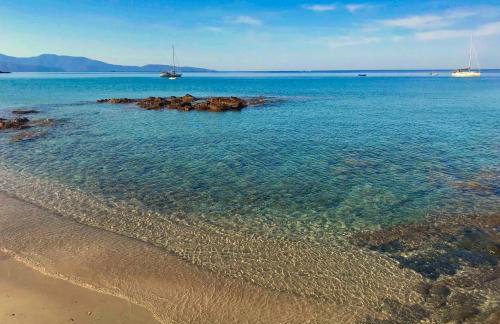 Solacargese-Les Chemins de Sonia-Terrasse face à la mer-Cargèse la Grecque - Foto 3