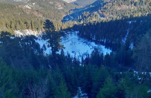 FeWo Schwarzwald von oben - Kniebis - Foto 32