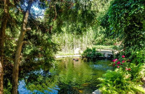 Ferienwohnung Haus Seeblick Geltow - Photo 18