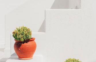 Orion Suite & Apartments - Photo 16