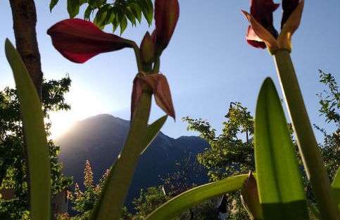 Appartment Lodged Mamma Maria - Foto 26