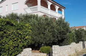 Apartments Pink house - Foto 1