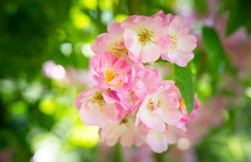 West Cottage, Southlands Farm, Gunnerton - Foto 17