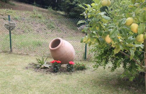 Apartamento en Altos de Pesués - Foto 39