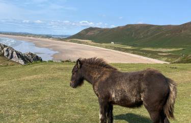 Oyster Cottage - Foto 45