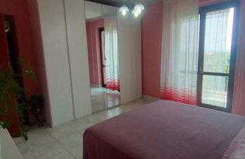 aranceto dell'Etna - Foto 66