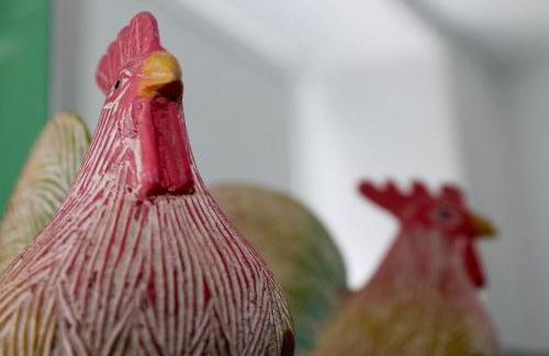 Casa Morgado do Casco - Foto 28