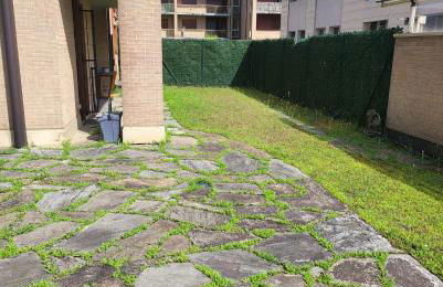 Small Dream - Photo 49