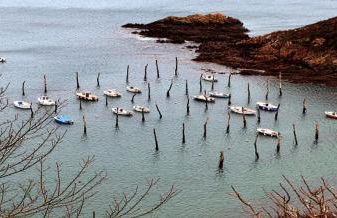 Gîte Ailes & Îles - Photo 19