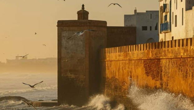 Escursione a Essaouira - Foto 5