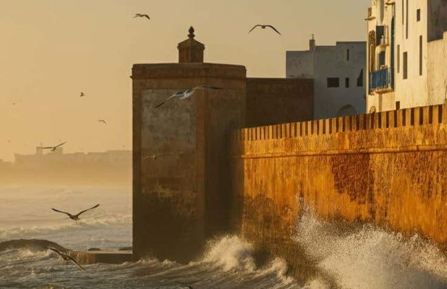 Escursione a Essaouira - Foto 5