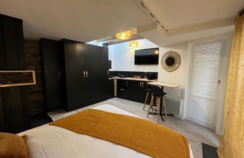 Rouzic - Studio Appart Hôtel - Photo 2