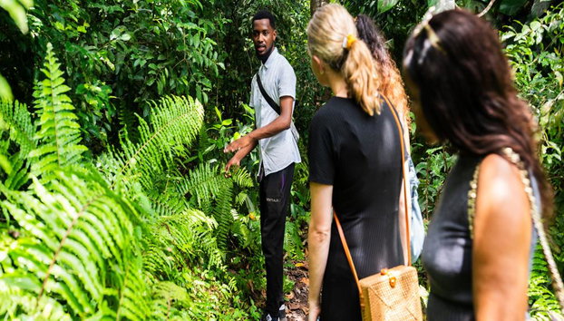 Excursión guiada a Prison Island y al bosque Jozani - Foto 4
