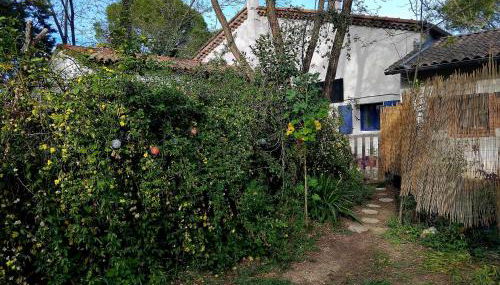 Les Pipistrelles - Foto 2