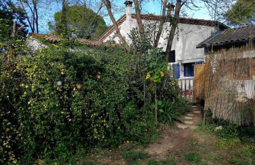 Les Pipistrelles - Foto 2